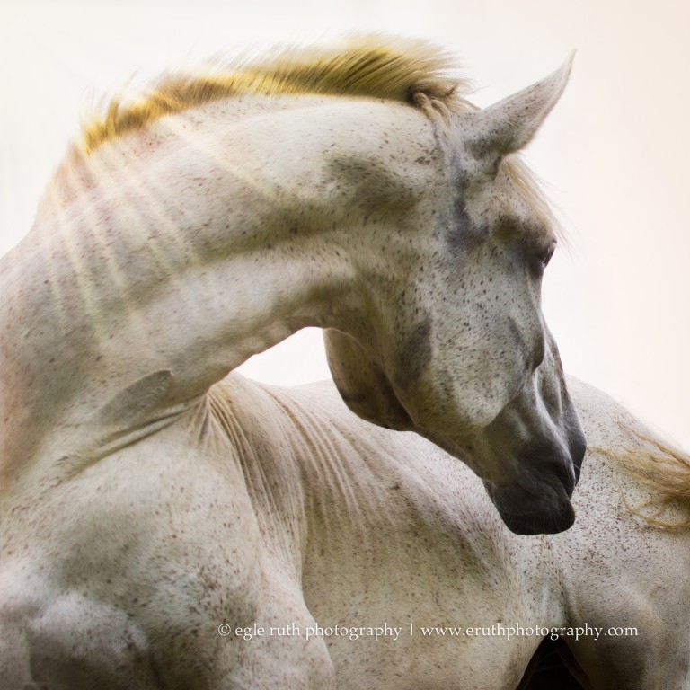 _DSC5836-Edit-Edit